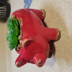 valentine pig with succulent rustic red pig with green succulent